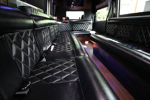 Sprinter van leather seating